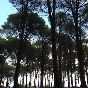  Séjour à la ferme Cavalli Di S'arcaite Italie